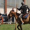 Equitation médiévale et précision